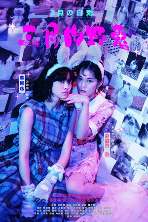 March Hare March Hare