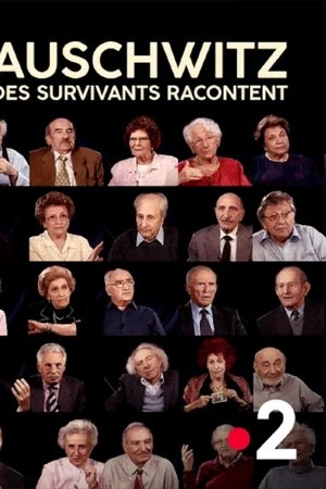 Auschwitz, survivors tell their stories