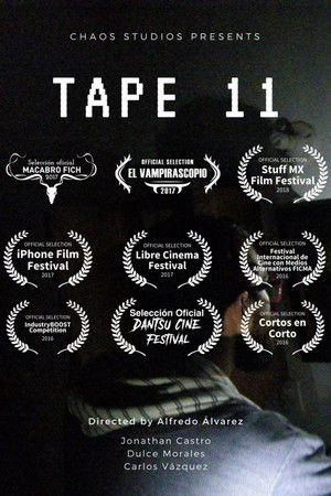Tape 11 Tape 11