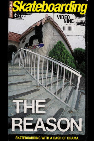 The Reason The Reason