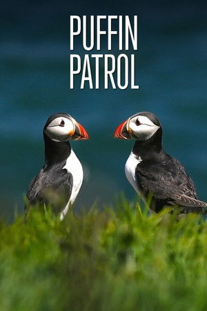 Puffin Patrol Puffin Patrol