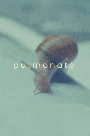 Pulmonate Pulmonate
