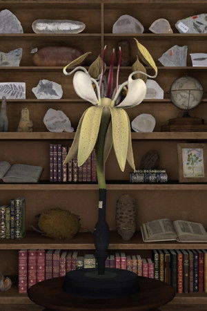 A Dying Leaf Should Be Able to Carry the Weight of the World A Dying Leaf Should Be Able to Carry the Weight of the World