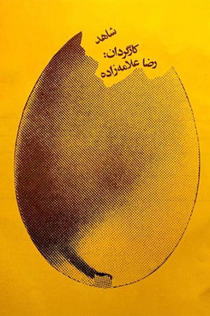 The Witness The Witness