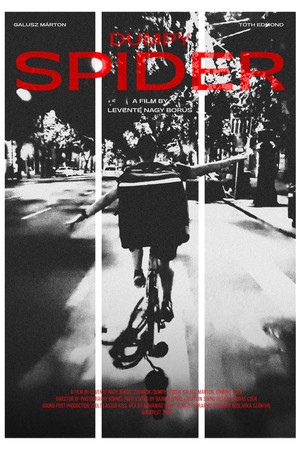 Dumpy Spider Dumpy Spider