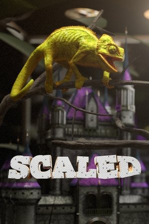 Scaled Scaled