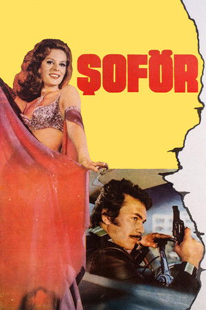 Şoför Şoför