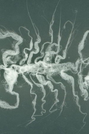 Ci sono gli spiriti Ci sono gli spiriti