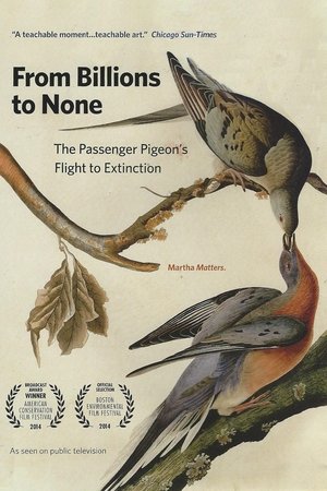 From Billions to None: The Passenger Pigeon's Flight to Extinction From Billions to None: The Passenger Pigeon's Flight to Extinction