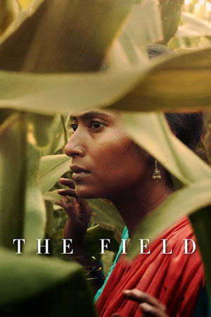 The Field The Field