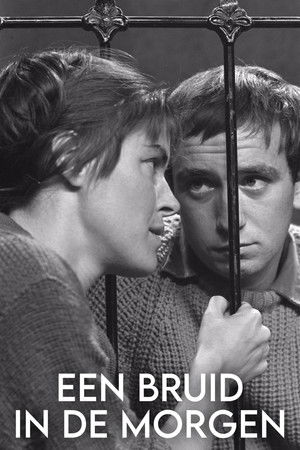 A Bride in the Morning A Bride in the Morning