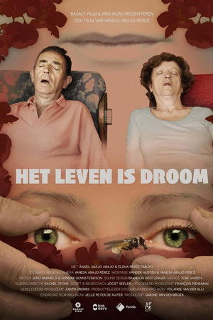 Life Is Dream Life Is Dream