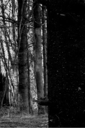 A New War Film A New War Film