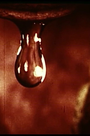 Worth How Many Words Worth How Many Words