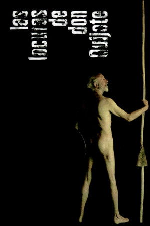 Las locuras de don Quijote Las locuras de don Quijote