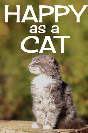 Happy as a Cat Happy as a Cat