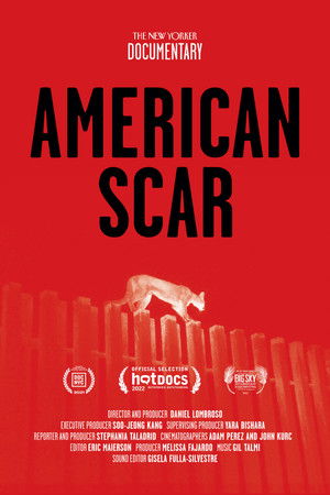 American Scar American Scar
