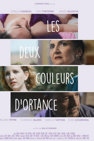 Les deux couleurs d'Ortance Les deux couleurs d'Ortance