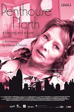 Penthouse North Penthouse North