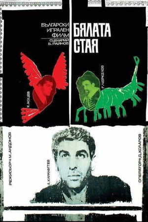 The White Room The White Room