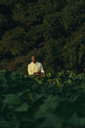 JESUS IS COMING (to take the Church away) JESUS IS COMING (to take the Church away)