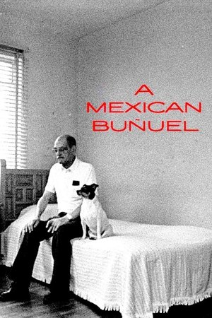 A Mexican Buñuel A Mexican Buñuel