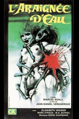 The Water Spider The Water Spider