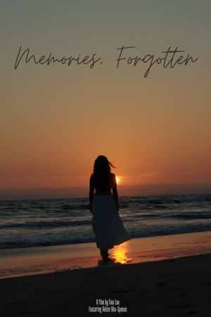 Memories, Forgotten Memories, Forgotten