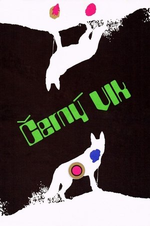 Black Wolf Black Wolf