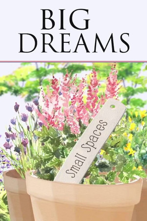 Big Dreams Small Spaces Big Dreams Small Spaces