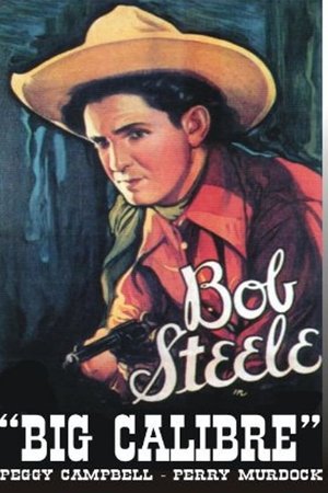 Big Calibre Big Calibre