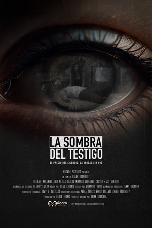 The Shadow of the Witness The Shadow of the Witness