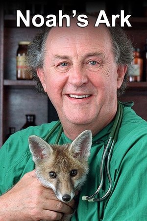 Noah's Ark Noah's Ark