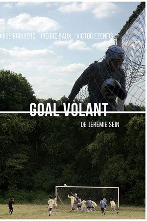 Goal Volant Goal Volant