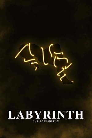 Labyrinth Labyrinth