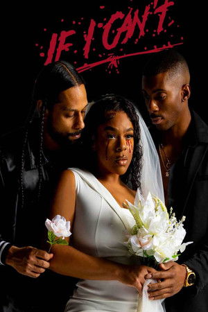 If I Can't If I Can't