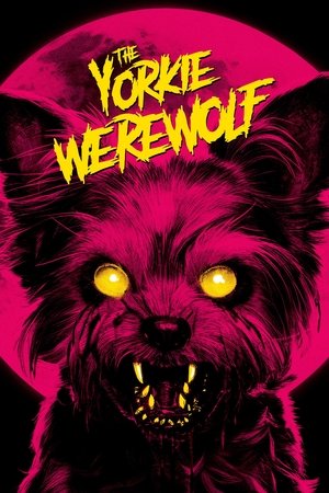 The Yorkie Werewolf The Yorkie Werewolf