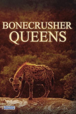 Bonecrusher Queens Bonecrusher Queens