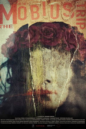 The Möbius Trip The Möbius Trip