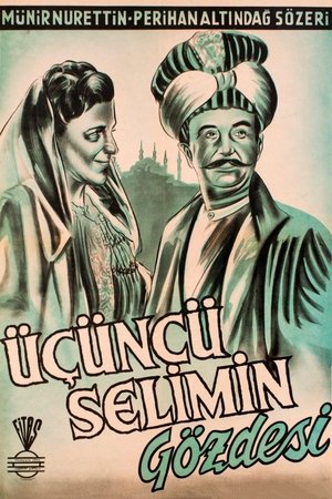The Favorite Concubine of Selim III The Favorite Concubine of Selim III