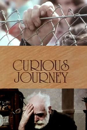 Curious Journey Curious Journey