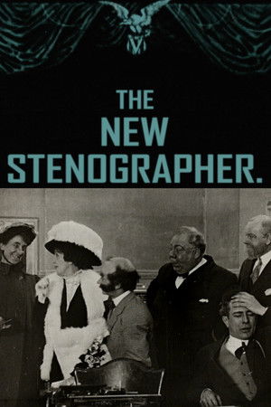 The New Stenographer The New Stenographer