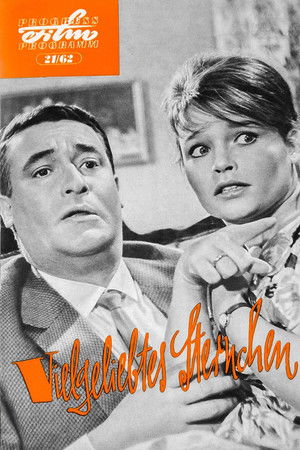 Vielgeliebtes Sternchen Vielgeliebtes Sternchen