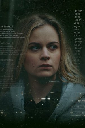 Social Score System Social Score System