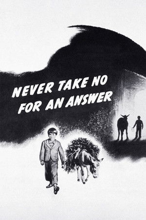 Never Take No for an Answer Never Take No for an Answer