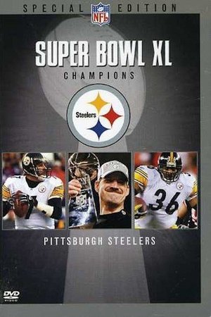 Super Bowl XL Champions: Pittsburgh Steelers Super Bowl XL Champions: Pittsburgh Steelers
