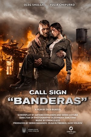 Call Sign "Banderas" Call Sign "Banderas"
