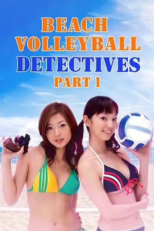 Beach Volleyball Detectives Beach Volleyball Detectives