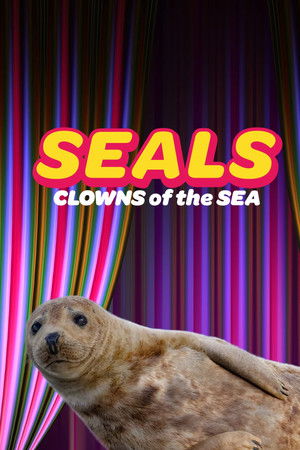 Seals - Clowns of the Sea Seals - Clowns of the Sea