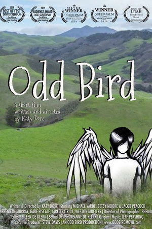 Odd Bird Odd Bird